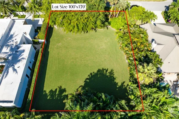 a view of a garden