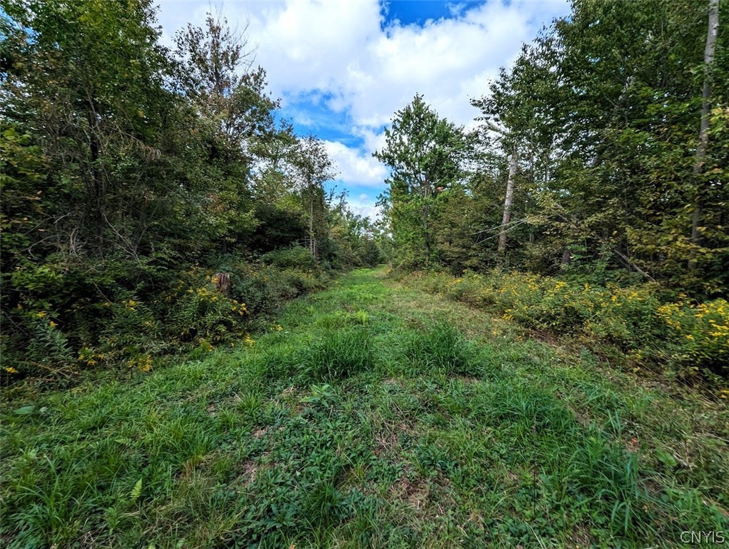 Cheese Factory Road Corning, NY 14830 - Photo 11 of 50 Gallery Image 11