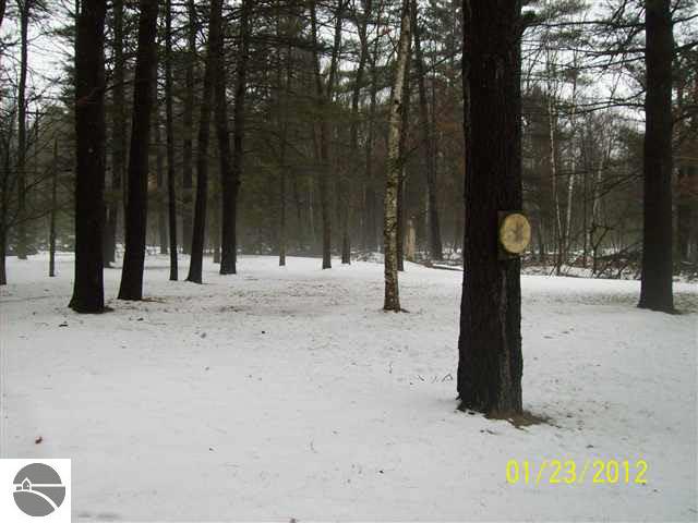 1956 Steves Road Omer, MI 48749 - Photo 10 of 12 1755032-9.JPG
