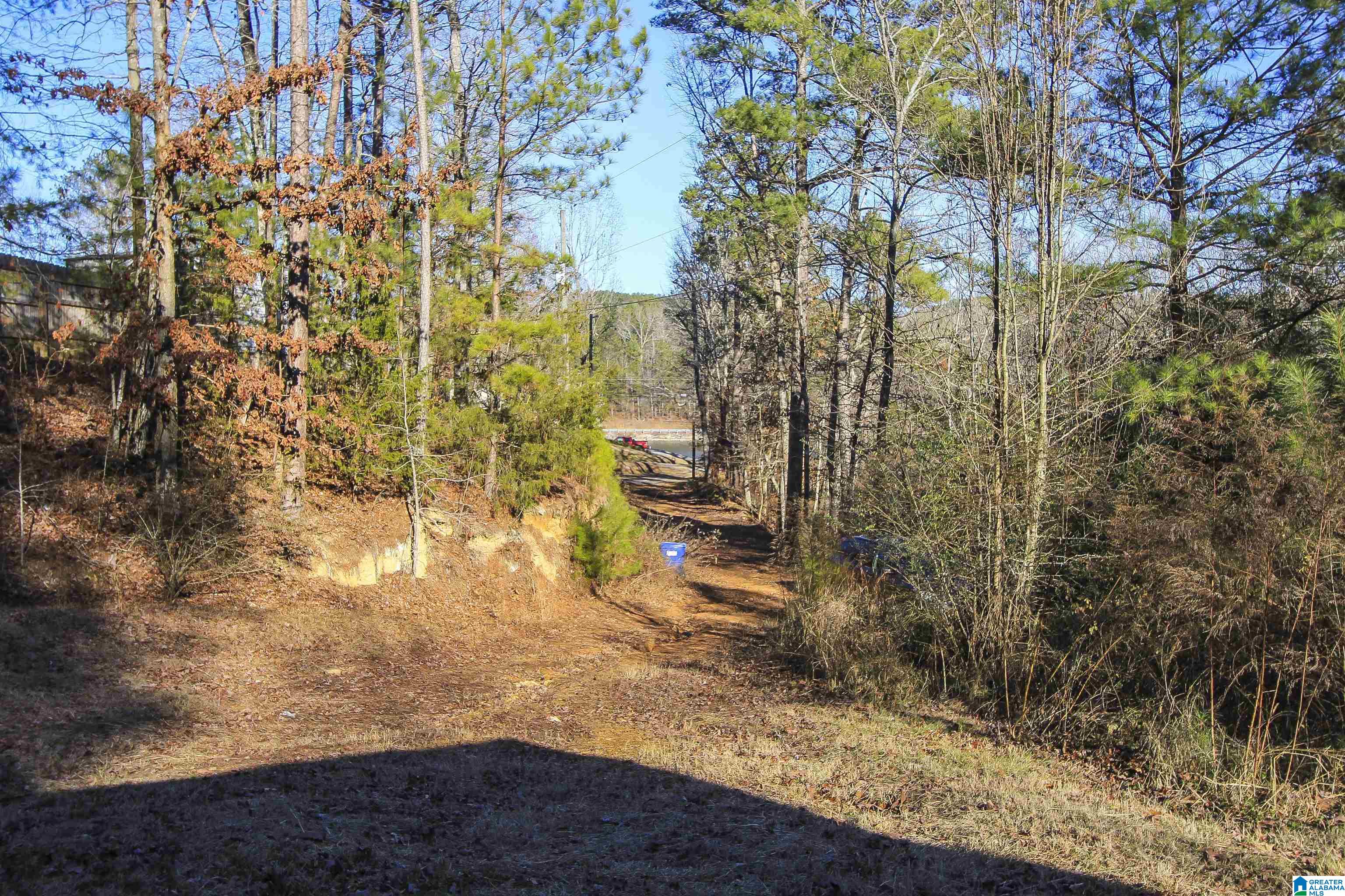 129 Mohawk Trail Ohatchee, AL 36271 - Photo 3 of 29