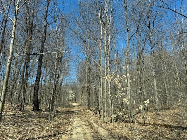 00 North Turnerville Road Lake City, MI 49651 - Photo 1 of 9