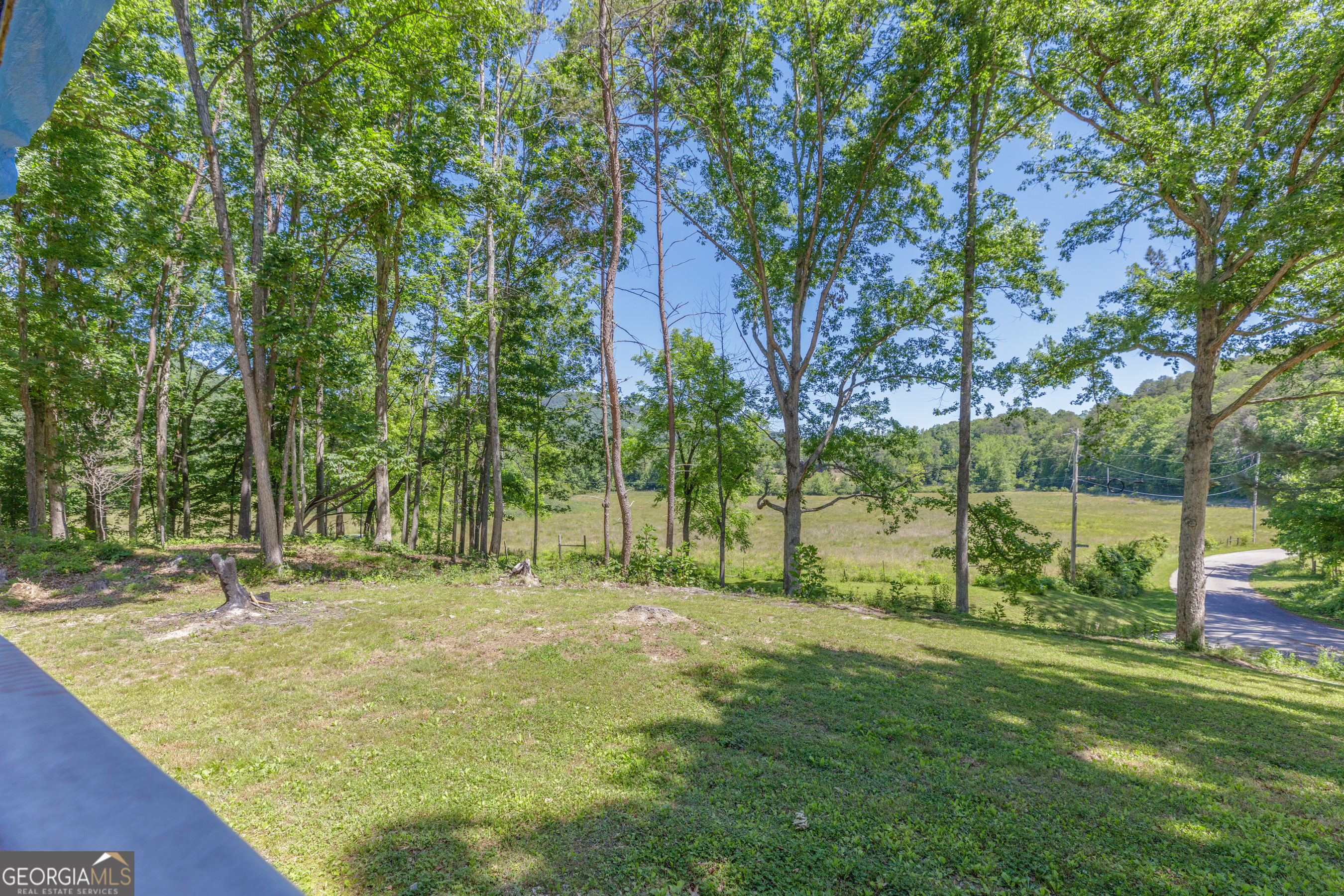 1004 Crow Gap Road Chickamauga, GA 30707 - Photo 24 of 36 a backyard of a house with lots of green space and deers