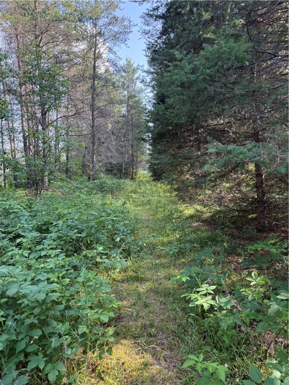 0 Tagalder Trail Hayward, WI 54843 - Photo 1 of 23