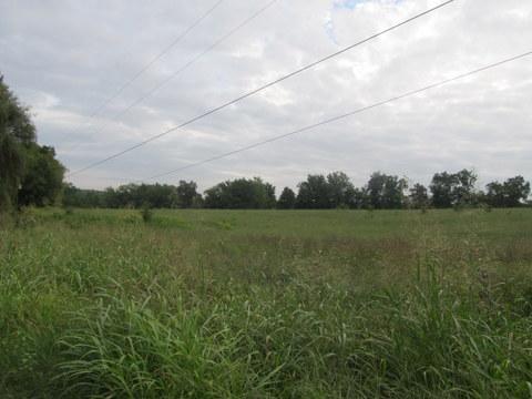 1585 Beasleys Bend Road Lebanon, TN 37087 - Photo 4 of 13