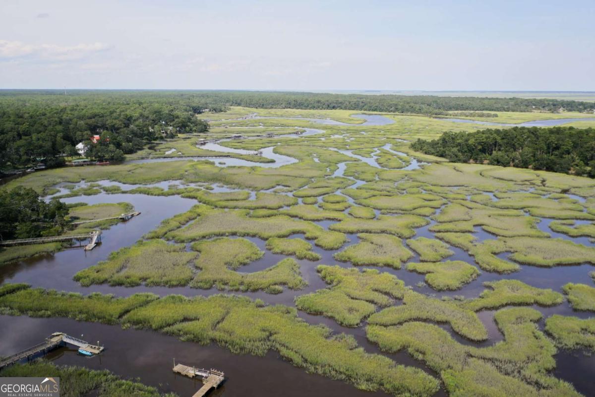 2061 Belle Island Road Richmond Hill, GA 31324 - Photo 11 of 49