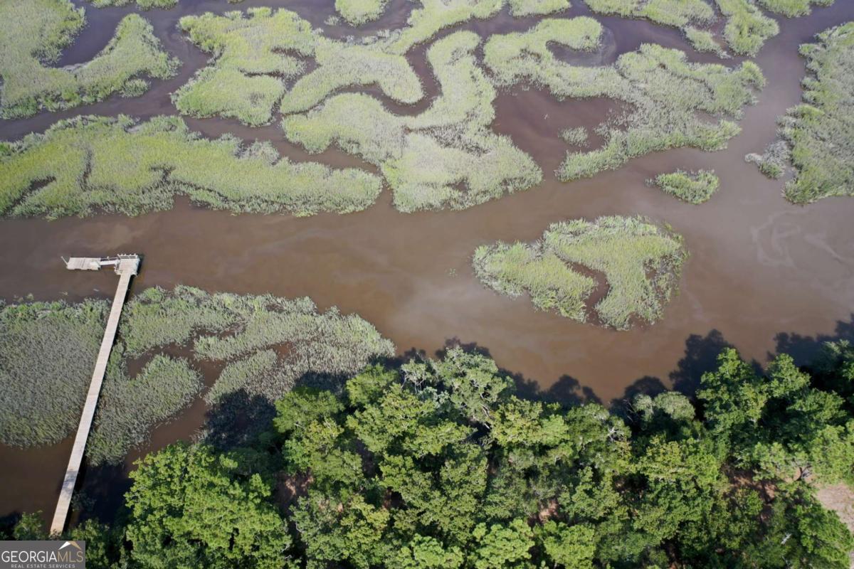 2061 Belle Island Road Richmond Hill, GA 31324 - Photo 12 of 49 a view of a yard
