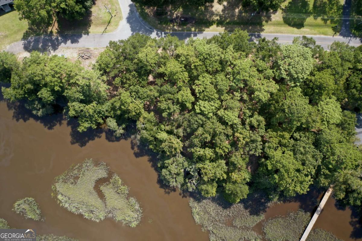 2061 Belle Island Road Richmond Hill, GA 31324 - Photo 13 of 49 a view of a lake with a house
