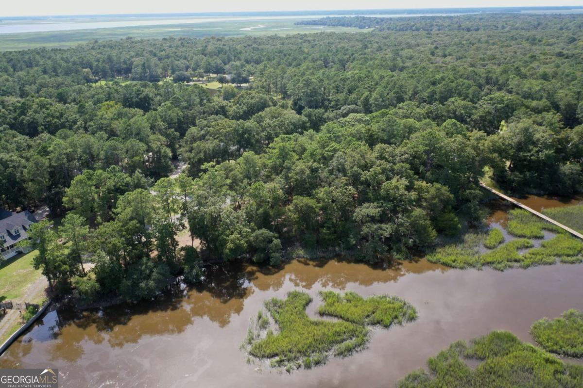 2061 Belle Island Road Richmond Hill, GA 31324 - Photo 15 of 49 an aerial view of a house with a yard