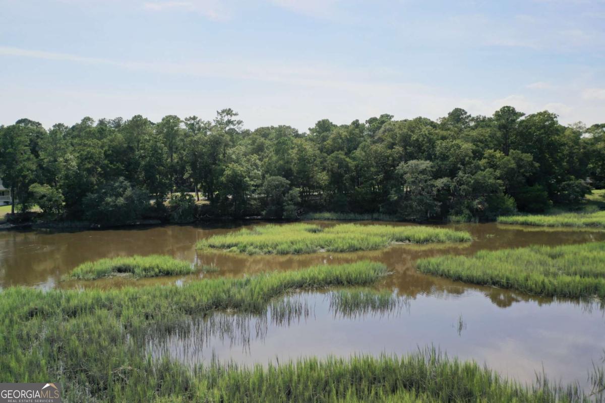 2061 Belle Island Road Richmond Hill, GA 31324 - Photo 16 of 49 a view of a lake from a yard
