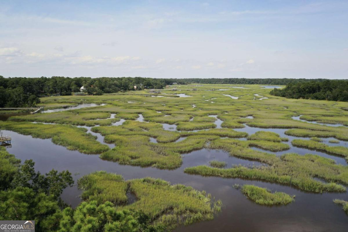2061 Belle Island Road Richmond Hill, GA 31324 - Photo 17 of 49 a view of a lake with an outdoor space