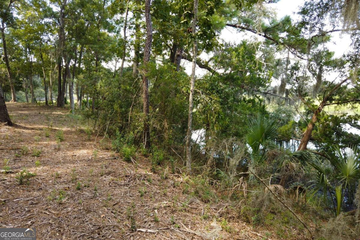 2061 Belle Island Road Richmond Hill, GA 31324 - Photo 19 of 49 a view of a forest with trees