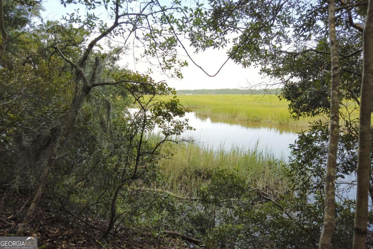 2061 Belle Island Road Richmond Hill, GA 31324 - Photo 20 of 49 a view of a lake with a mountain and trees