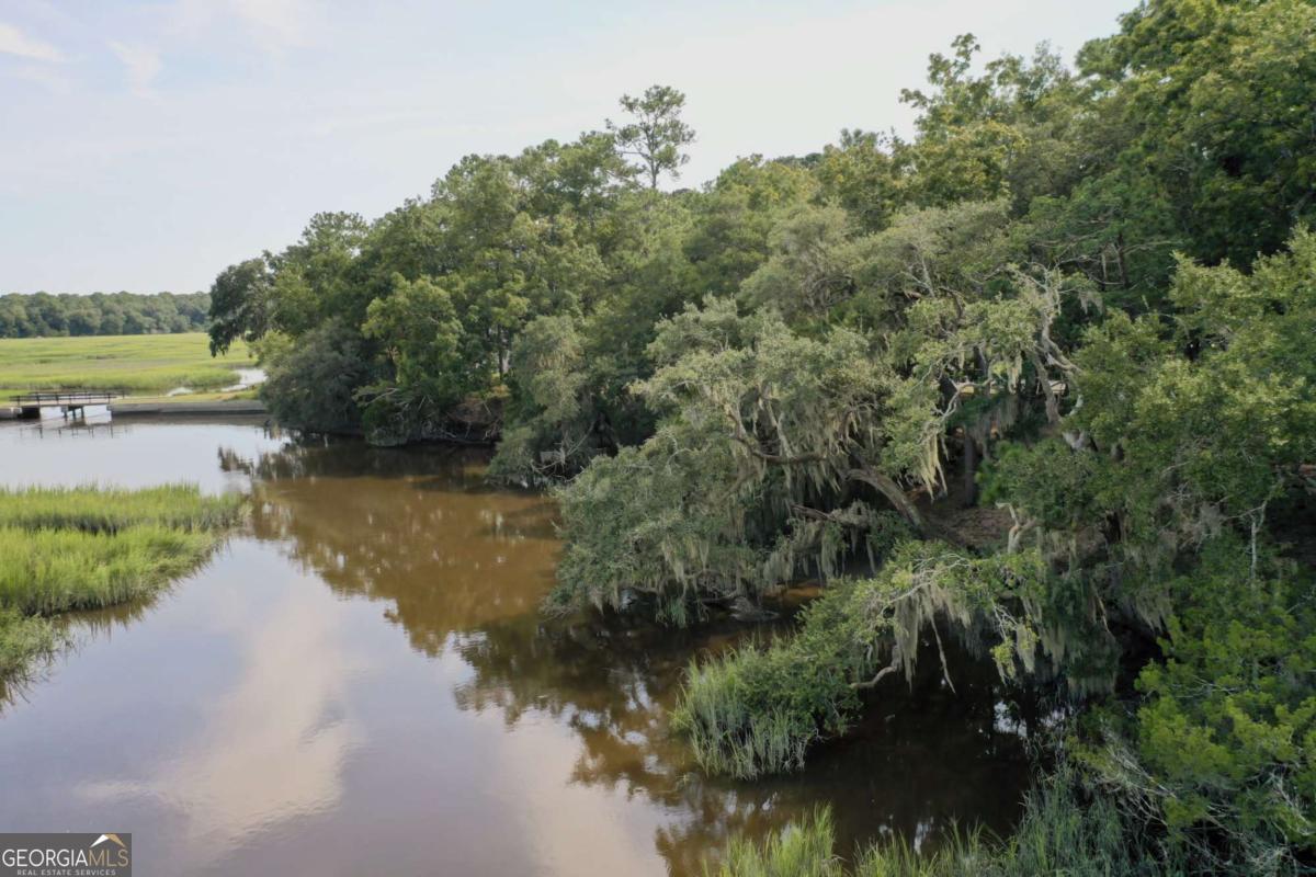 2061 Belle Island Road Richmond Hill, GA 31324 - Photo 2 of 49 a view of a lake in middle of forest