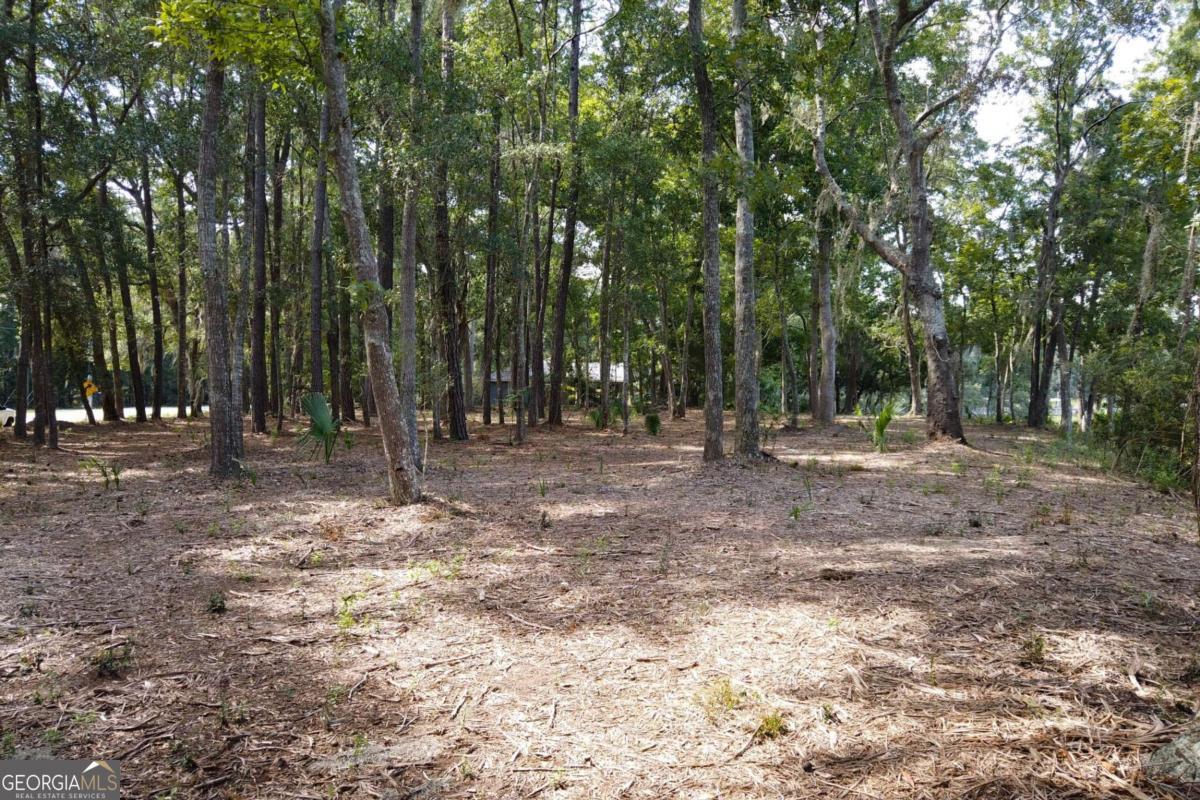 2061 Belle Island Road Richmond Hill, GA 31324 - Photo 21 of 49 a view of outdoor space with trees