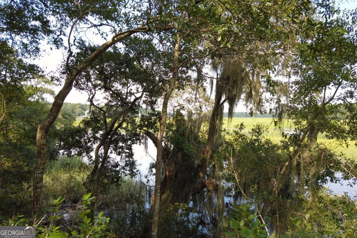 2061 Belle Island Road Richmond Hill, GA 31324 - Photo 22 of 49 a view of tree