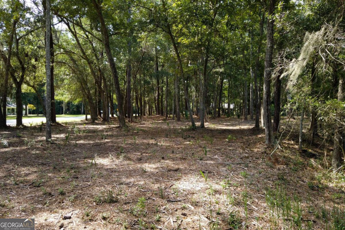 2061 Belle Island Road Richmond Hill, GA 31324 - Photo 23 of 49 a view of outdoor space with trees