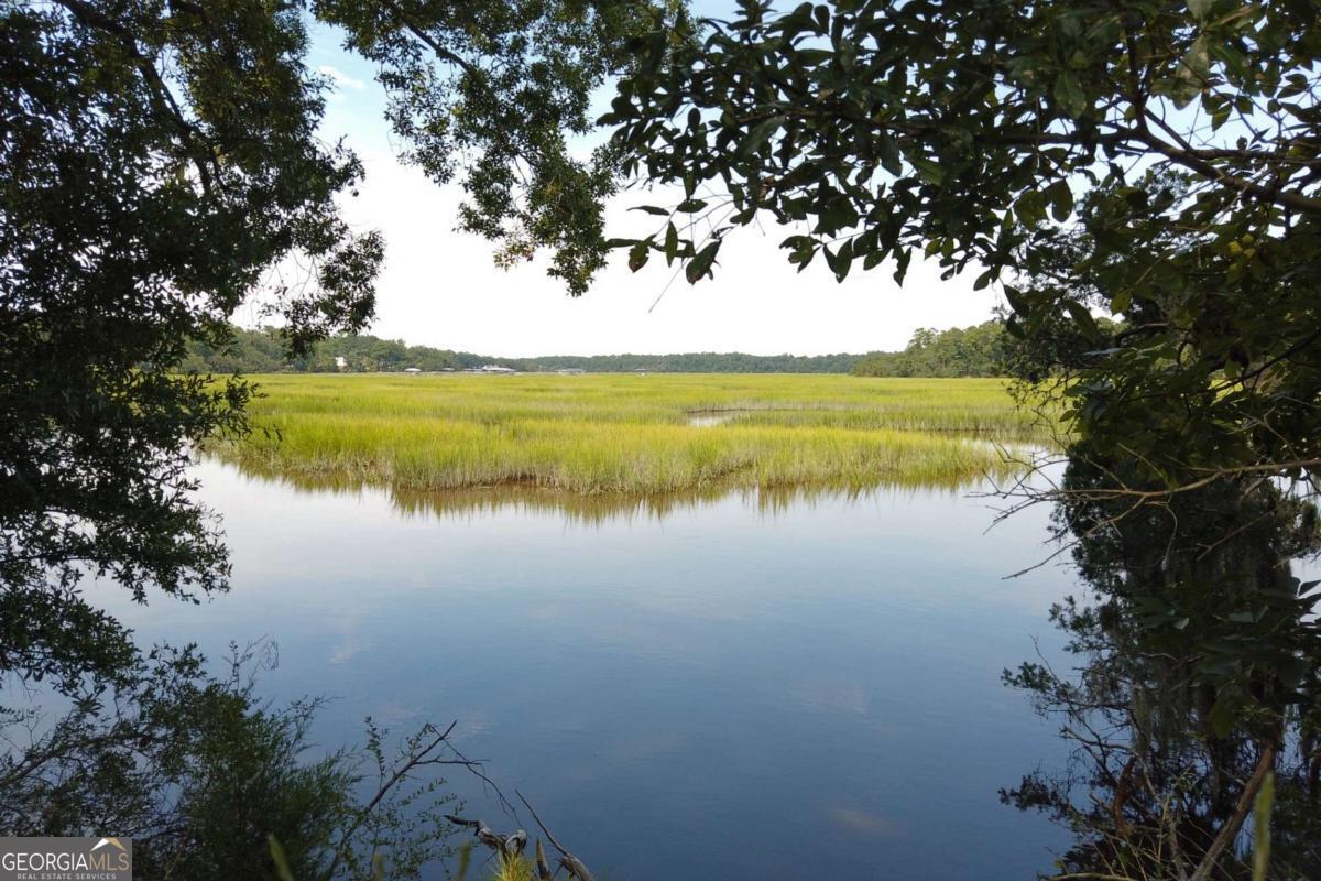 2061 Belle Island Road Richmond Hill, GA 31324 - Photo 24 of 49 a view of a lake view