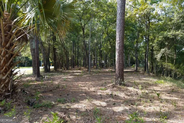 a view of backyard space with trees