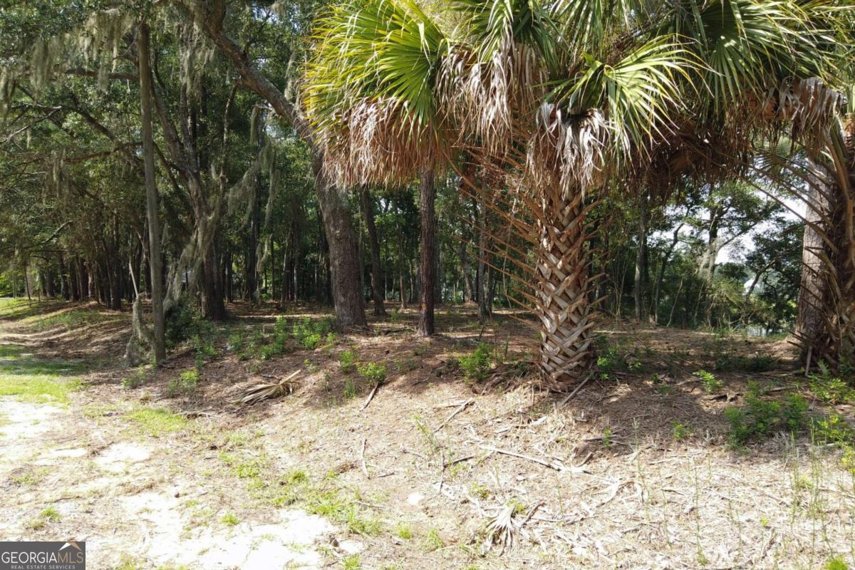 2061 Belle Island Road Richmond Hill, GA 31324 - Photo 26 of 49 a view of backyard space with trees