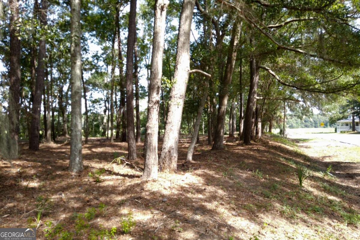 2061 Belle Island Road Richmond Hill, GA 31324 - Photo 28 of 49 a view of road and trees