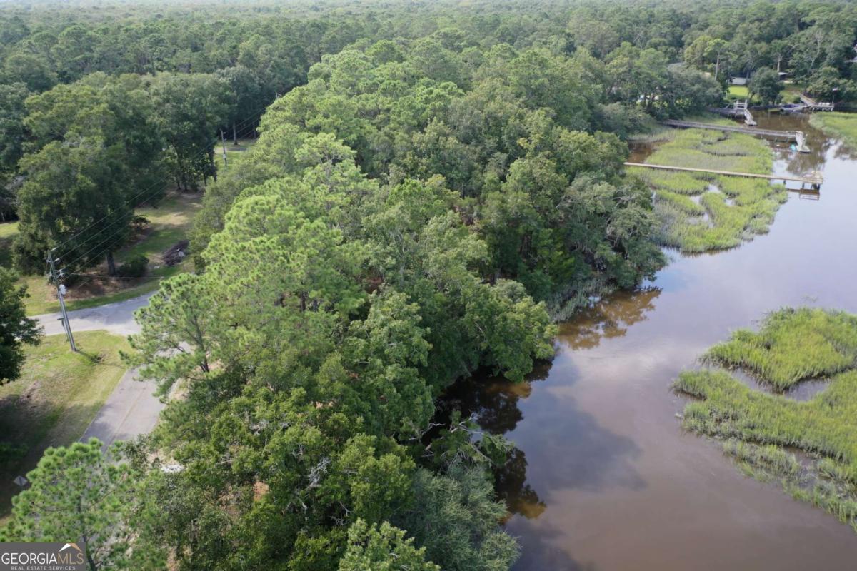 2061 Belle Island Road Richmond Hill, GA 31324 - Photo 3 of 49 an aerial view of residential house with outdoor space and trees all around