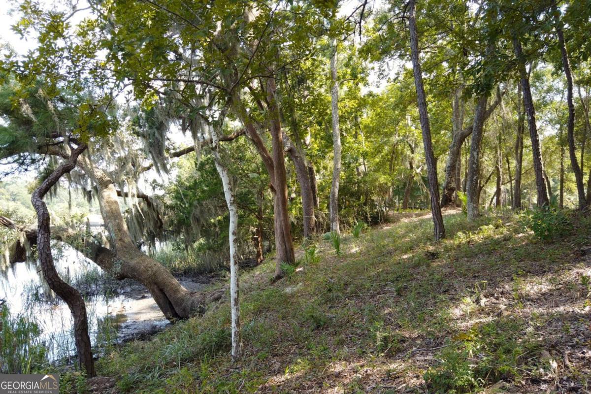 2061 Belle Island Road Richmond Hill, GA 31324 - Photo 31 of 49 a view of outdoor space and trees