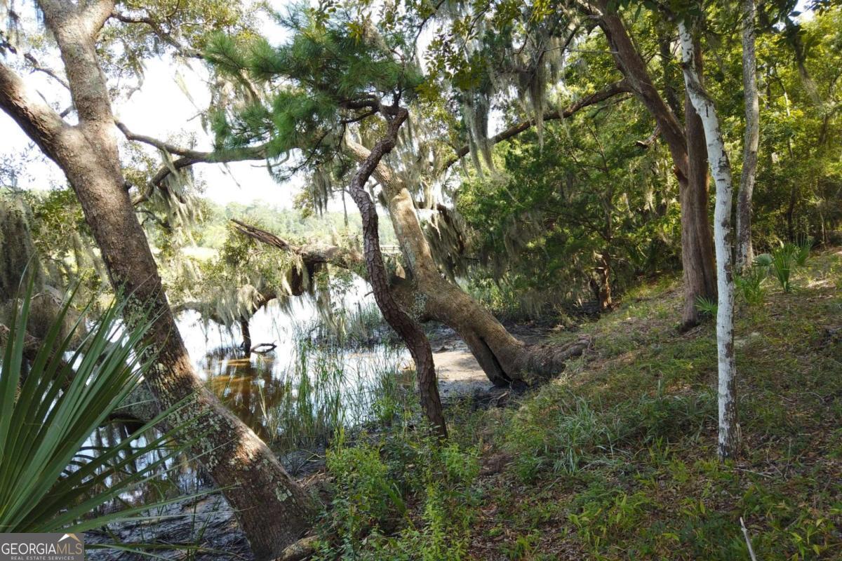 2061 Belle Island Road Richmond Hill, GA 31324 - Photo 32 of 49 a view of tree