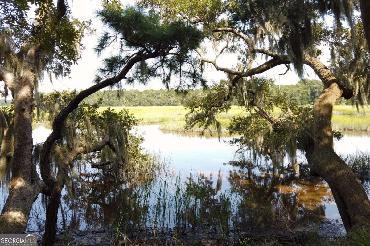 2061 Belle Island Road Richmond Hill, GA 31324 - Photo 34 of 49 a view of lake