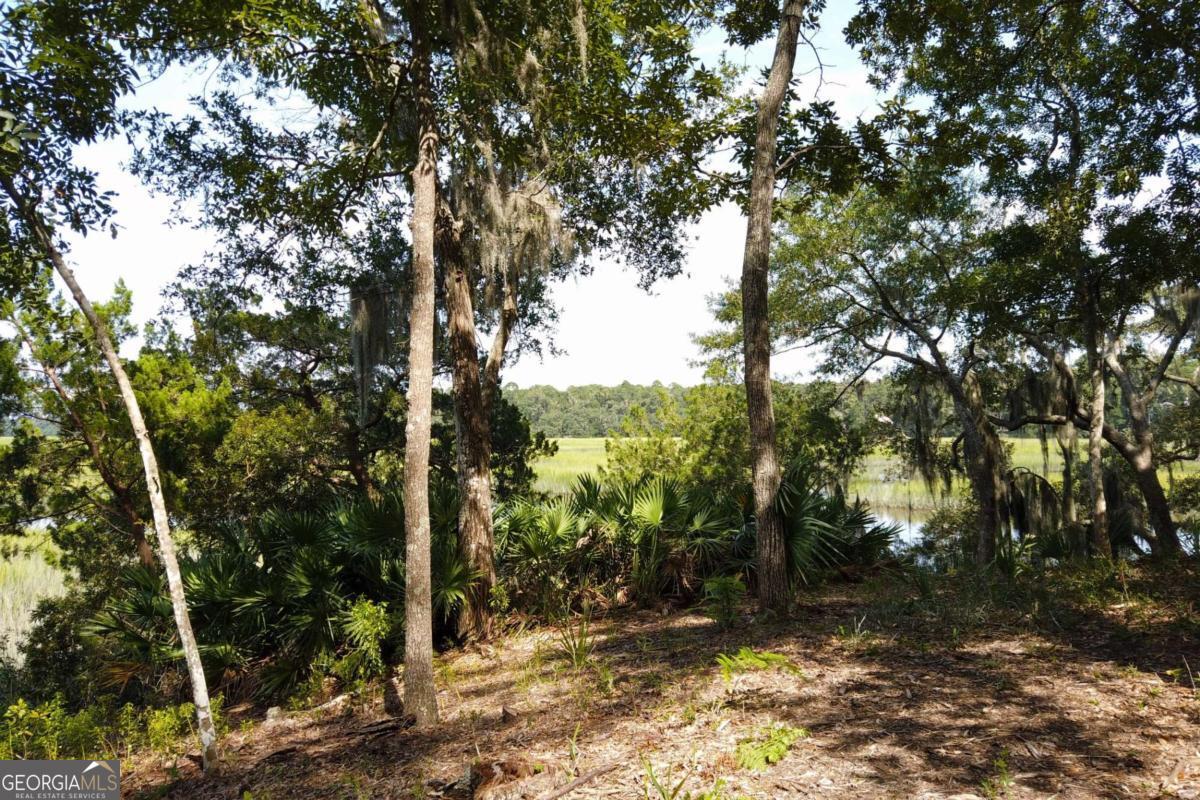 2061 Belle Island Road Richmond Hill, GA 31324 - Photo 35 of 49 a view of a forest with trees