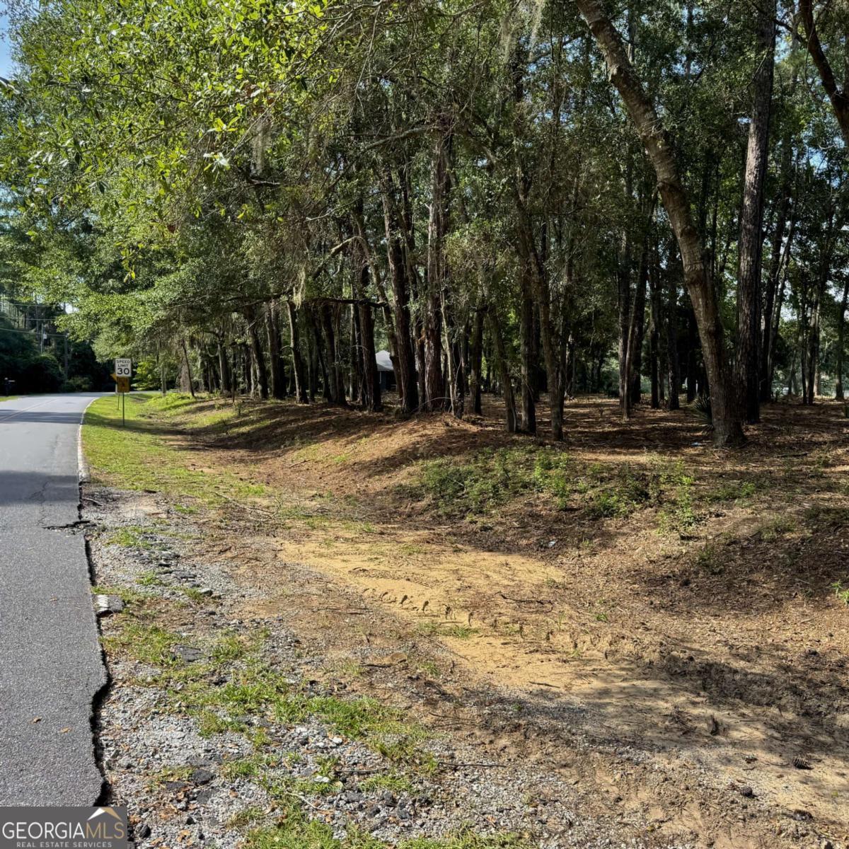2061 Belle Island Road Richmond Hill, GA 31324 - Photo 37 of 49 a yard with trees in the background