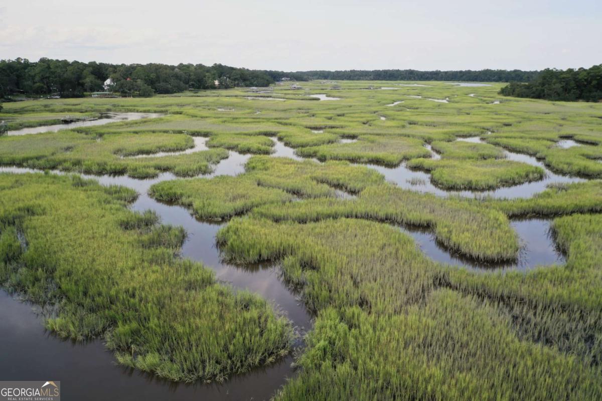 2061 Belle Island Road Richmond Hill, GA 31324 - Photo 4 of 49 a view of a lush green field