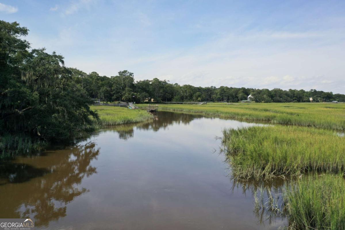 2061 Belle Island Road Richmond Hill, GA 31324 - Photo 5 of 49 a view of a lake from a lake view