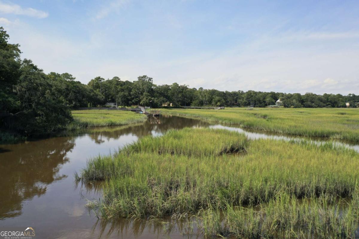 2061 Belle Island Road Richmond Hill, GA 31324 - Photo 6 of 49 a view of a lake and green valley