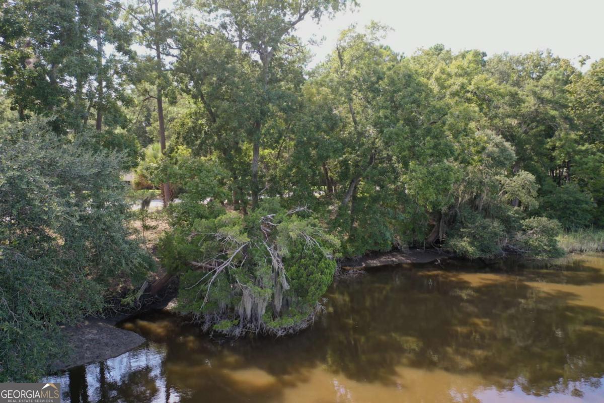 2061 Belle Island Road Richmond Hill, GA 31324 - Photo 7 of 49 a view of river covered by trees