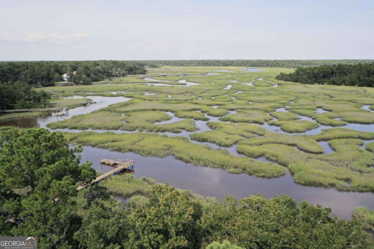 2061 Belle Island Road Richmond Hill, GA 31324 - Photo 9 of 49 a view of an outdoor space and mountain view