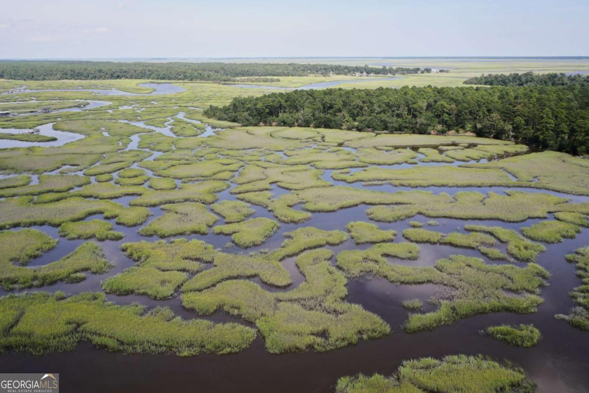 2061 Belle Island Road Richmond Hill, GA 31324 - Photo 10 of 49 a view of an ocean beach
