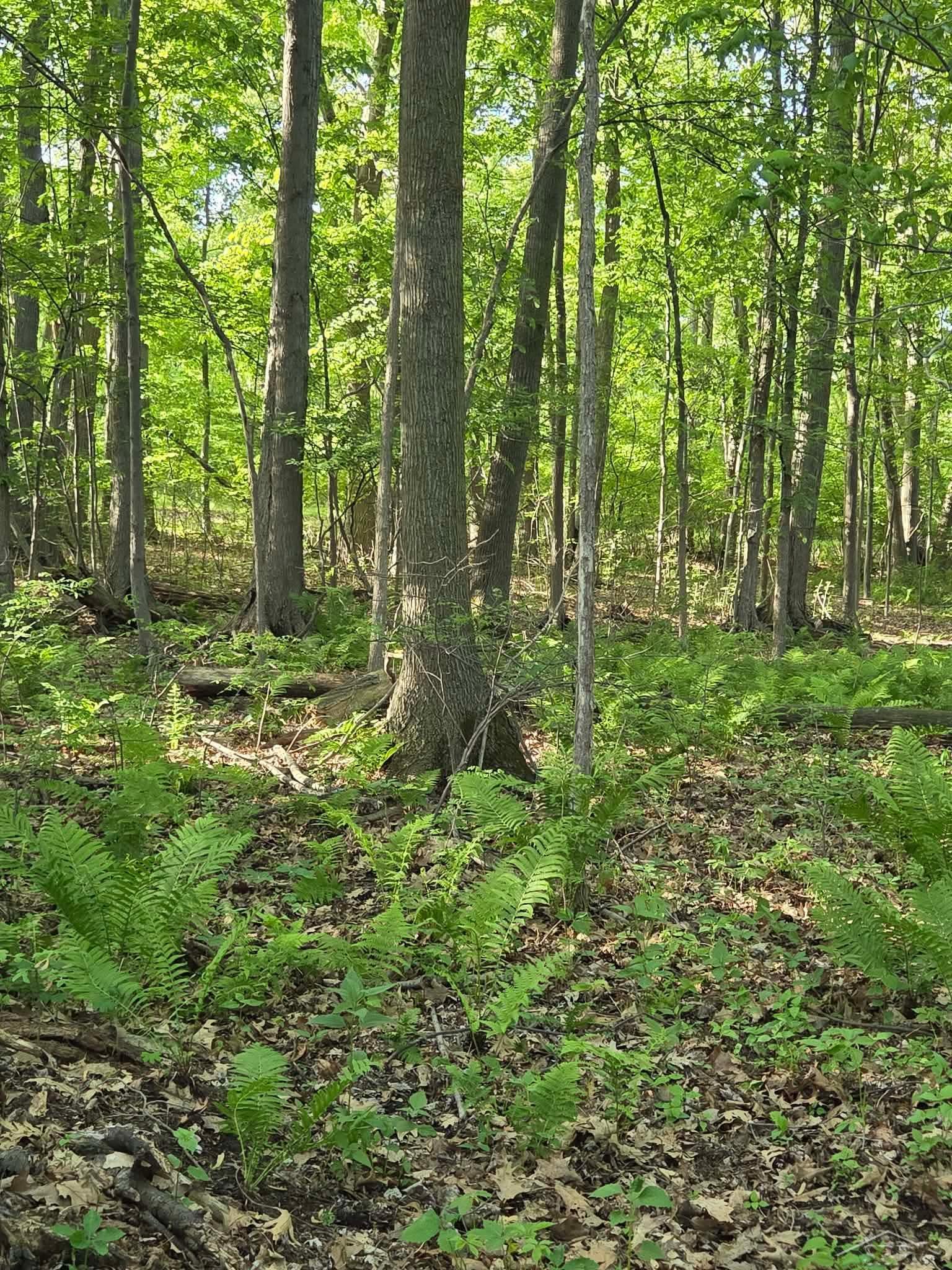 2531 Weaver Road Port Austin, MI 48467 - Photo 5 of 9