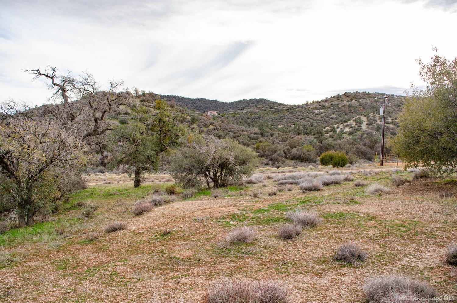 1 Umtali Road Tehachapi, CA 93561 - Photo 3 of 16 Gallery Image 3