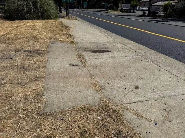 a view of a tree in the middle of a yard