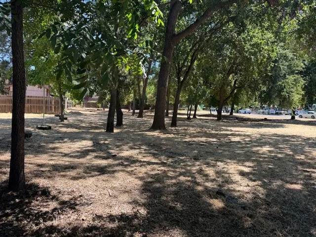 a view of swimming pool with trees
