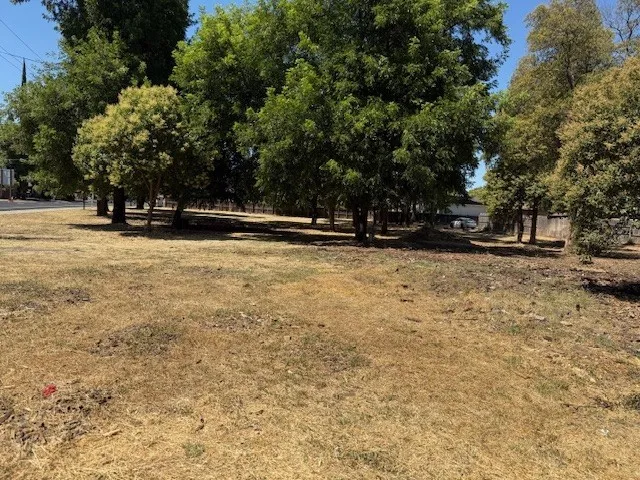 a view of yard with trees