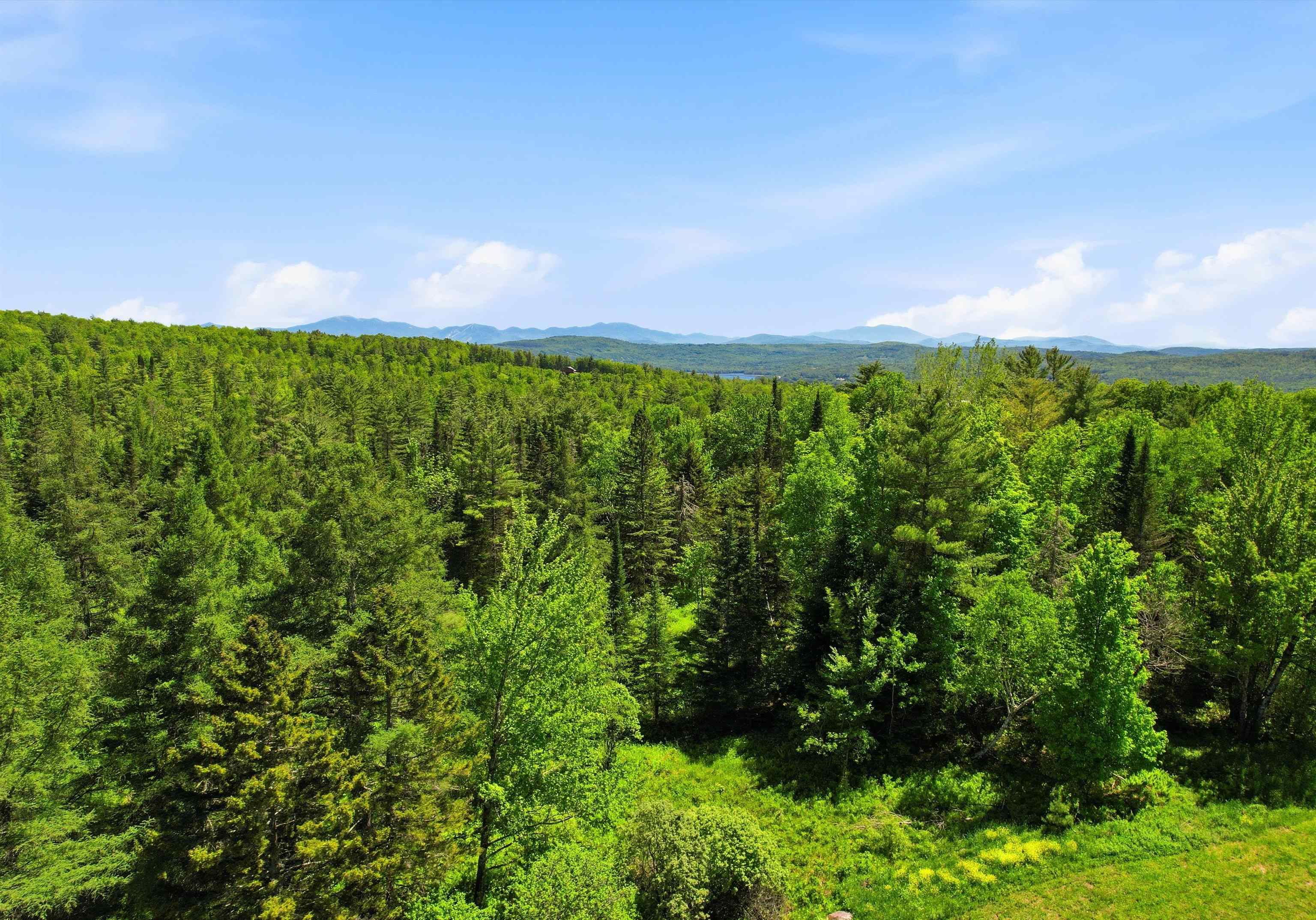 0 High Ridge Road Waterford, VT 05819 - Photo 15 of 17