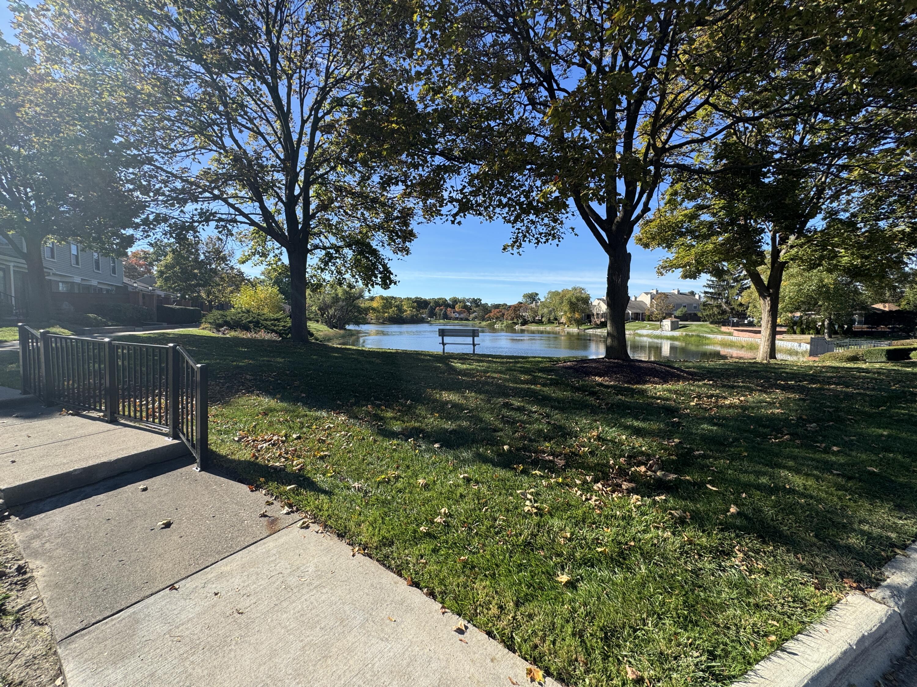 Pond