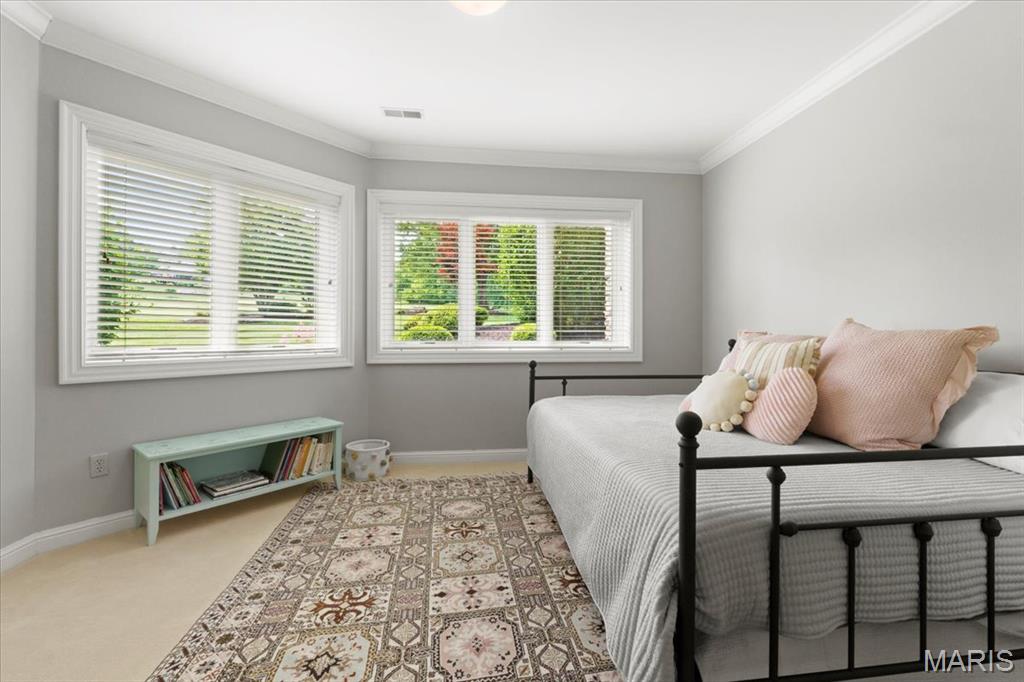 1270 Cedars Valley Road St. Albans, MO 63073 - Photo 19 of 47