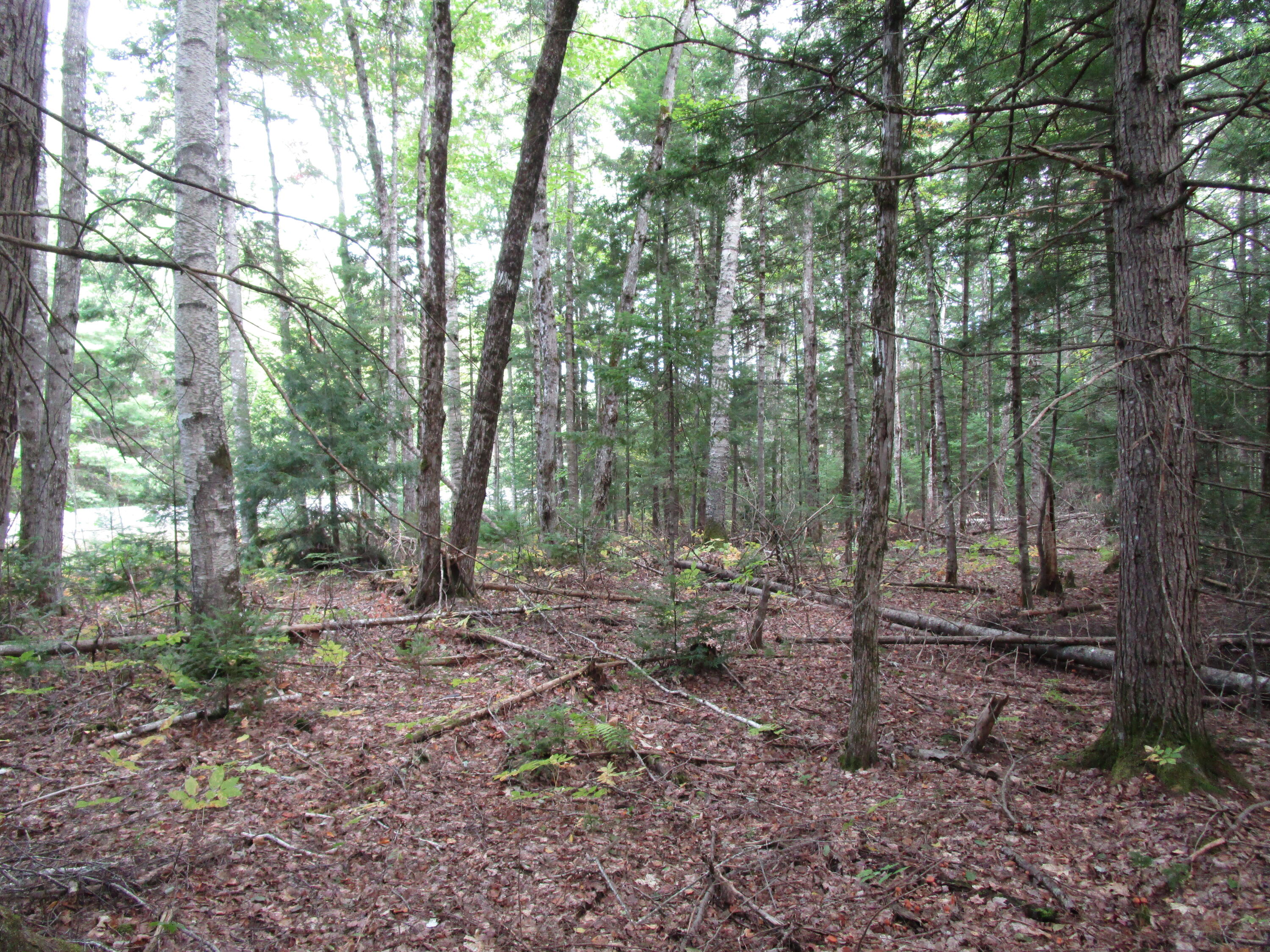 2 North Howland Road Northwest Howland, ME 04448 - Photo 1 of 7 IMG_1369