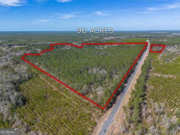 $1,509,800 | 12321 Highway 185, St. George, GA 31562