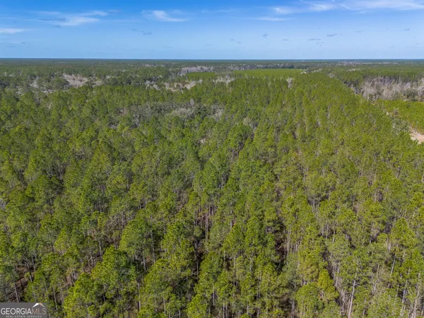 $1,509,800 | 12321 Highway 185, St. George, GA 31562