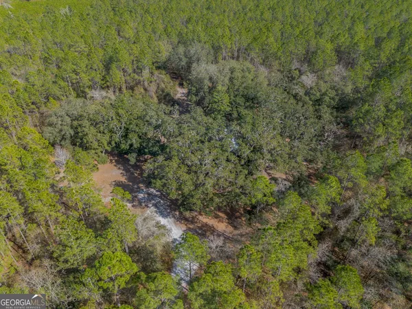 $1,509,800 | 12321 Highway 185, St. George, GA 31562