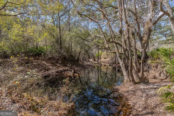 $1,509,800 | 12321 Highway 185, St. George, GA 31562
