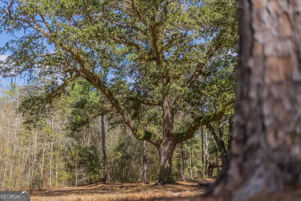 $1,509,800 | 12321 Highway 185, St. George, GA 31562